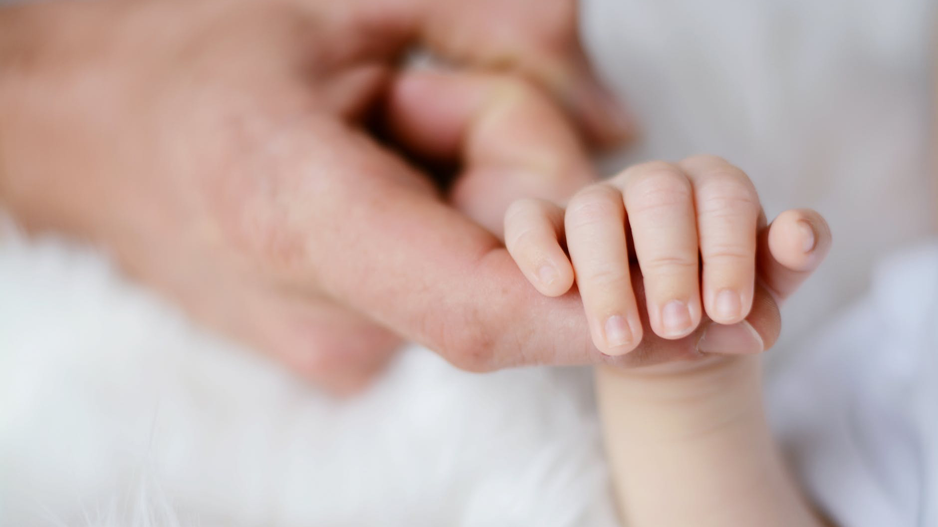 Babies hand holding adults finger
