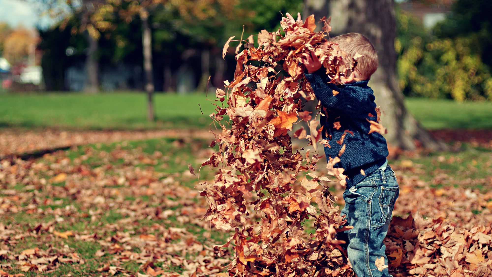 Young boy throwing leaves in the air in the park